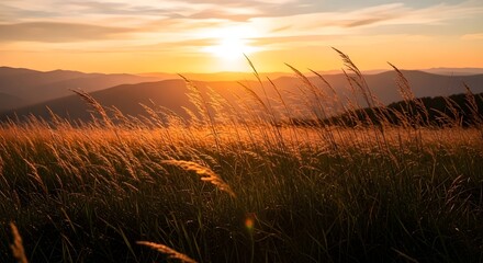 Whispering Fields at Sunset Glow
