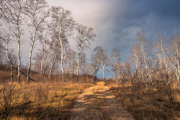 Autumn hike in the Canadian woods