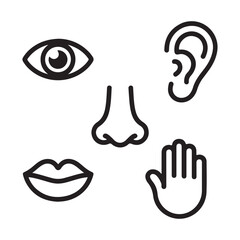 Five human senses vector illustration