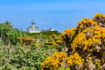 Balade sur l'ile Chaussey