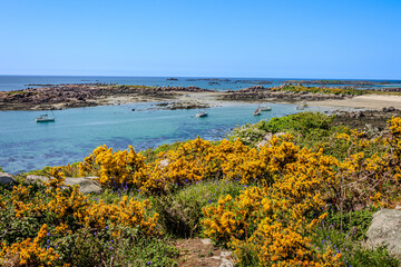 Balade sur l'ile Chaussey