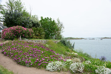 Balade sur l'ile Chaussey