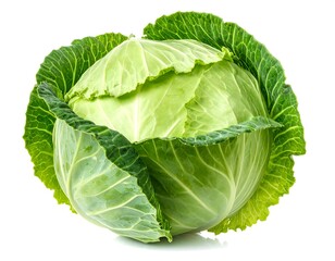A head of cabbage, showing green and light leaves on a white background