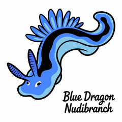 Fototapeta premium Cute Blue Dragon Nudibranch Ocean Sea Slug Marine Life Vector Illustration