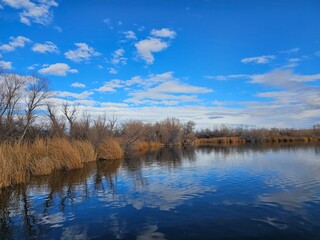 lake in the forest
