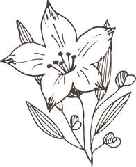 vector illustration of a flower