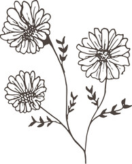 vector illustration of a flower