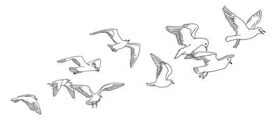 hand drawn vector illustration of a horse