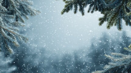 Obraz premium soft winter snowscape with snowflakes and evergreen branches overhead