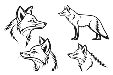 Obraz premium Minimalist realistic fox portrait and icon set