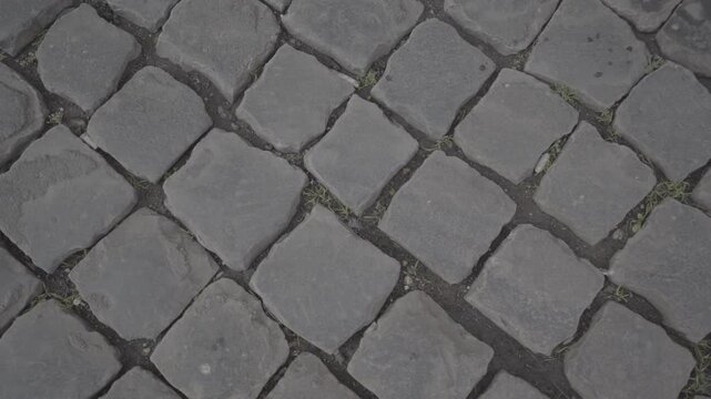 Strada di Sanpietrini a Roma, Trastevere Roma - Italia - SLOG2