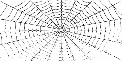 Intricate black and white radial spider web pattern on white background