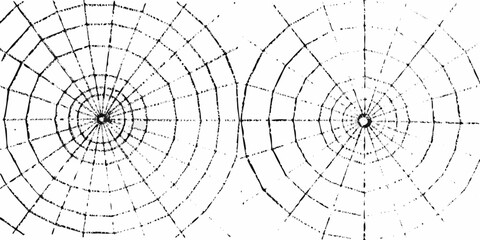 Obraz premium Two abstract black and white spider webs with concentric circles and radial lines on a white background