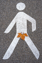 Fußgängerpiktogramm auf dem Asphalt mit einem Herbstblatt im Schritt