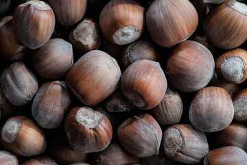 Hazelnuts in their shells photographed from above. The image shows a selection of natural hazelnuts, some slightly soiled, highlighting textures, imperfections, and authentic colors.