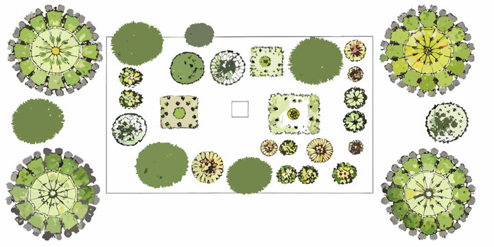 Top down view botanical garden design plan with various plants and trees illustrated