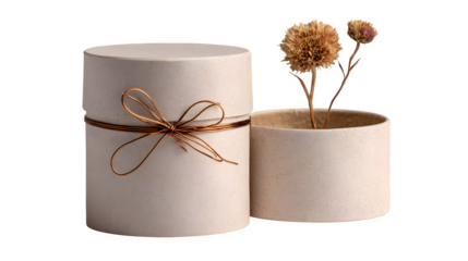 Minimalist cylindrical gift box in warm beige paper with thin copper wire bow and tiny dried flower, isolated on white background