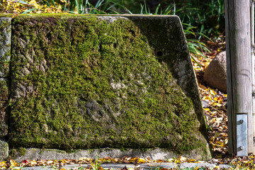 Mit Moos bewachsene Natursteine