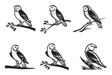 Minimalist barn owl icon set with geometric elements