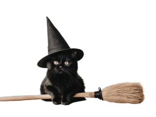 A Charming Black Cat Sporting a Witch Hat While Perched on a Broomstick, Perfect for Capturing the Spirit of Magic and Mystery isolated on transparent background