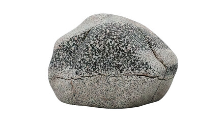 A single grey rock with a rough texture and speckled surface.
