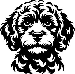 Cockapoo silhouette vector illustration