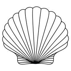 Modern Seashell Outline Drawing Abstract Vector