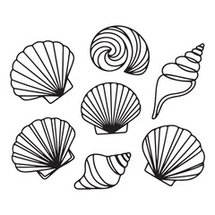 Modern Seashell Outline Drawing Abstract Vector