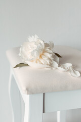 wedding, flower, rose, bouquet, decoration, bride, flowers, love, roses, pink, gift, beauty, marriage, table, beautiful, romantic, cake, bridal, celebration, romance, ceremony, box, white, floral, rib