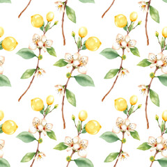 Pattern of watercolor lemon branches, flowers, leaves, soft yellow and green tones, hand drawn, isolated on white. Vector