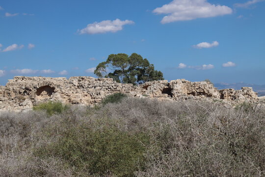 Salamis ruderi romani cipro ancient stone ruins standing against a blue sky. Salamis ruderi romani cipro