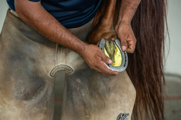 Close-up of a Man Holding Horse's Leg With Horseshoe on a Ranch, Panama, Chiriqui, Central America...