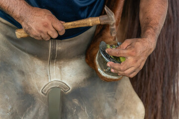 Close-up of a Man Holding Horse's Leg With Horseshoe on a Ranch, Panama, Chiriqui, Central America...