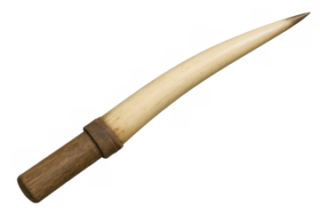 Primitive tusk knife with wood handle weapon