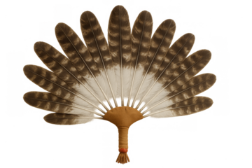 Native american smudging fan with hawk feathers