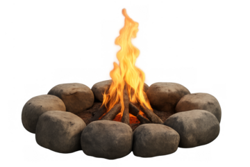Campfire burning with logs and stone ring