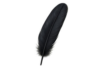 Obraz premium Black feather quill bird plume on transparent background