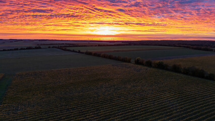 Golden Vineyard Sunset Over Rolling Farmland and Vibrant Cloudy Sky