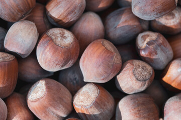  Hazelnuts in their shells photographed from above. The image shows a selection of natural hazelnuts, some slightly soiled, highlighting textures, imperfections, and authentic colors.