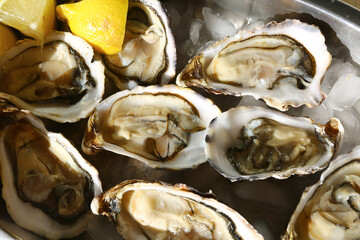 fresh oysters as luxury gourmet food for celebration