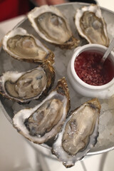 fresh oysters as luxury gourmet food for celebration