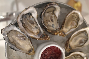 fresh oysters as luxury gourmet food for celebration