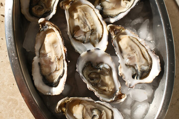 fresh oysters as luxury gourmet food for celebration