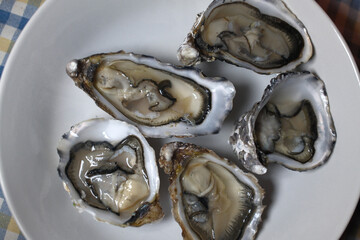 fresh oysters as luxury gourmet food for celebration
