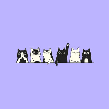 Rebel Cat_15