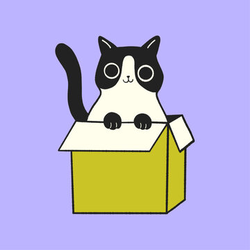 Rebel Cat_09