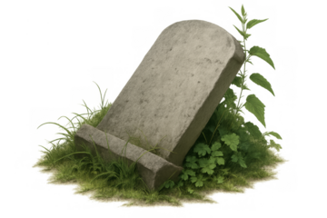 Old weathered tombstone standing in overgrown grass