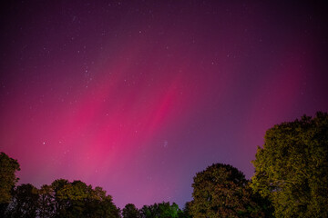 Fototapeta premium aurora in the night sky