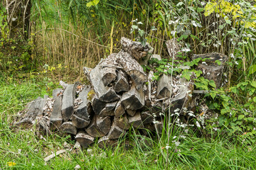 a stack of firewood in the grass in a park in the French Vosges region in summer
