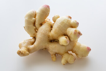 ショウガ　新生姜　白背景